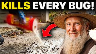 This Amish Powder Kills Any Bug — And Why Pest Control Pretends It Doesn't Exist