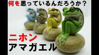 ガチャ】カエルの森工房 ニホンアマガエル 個体差が素晴らしい。 - YouTube