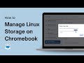 How to Manage Linux Storage on Chromebook
