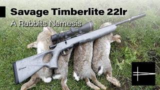 Savage Timberlite Thumbhole Full test and Rabbit Hunt