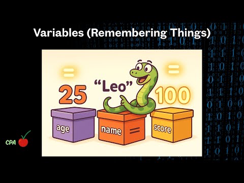 What Are Variables in Python? | Python for Beginners