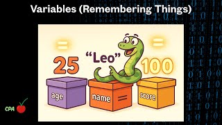 What Are Variables in Python | Python for Beginners