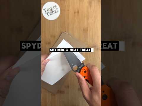 Day 1️⃣4️⃣: Edge Retention Testing with Rex 121