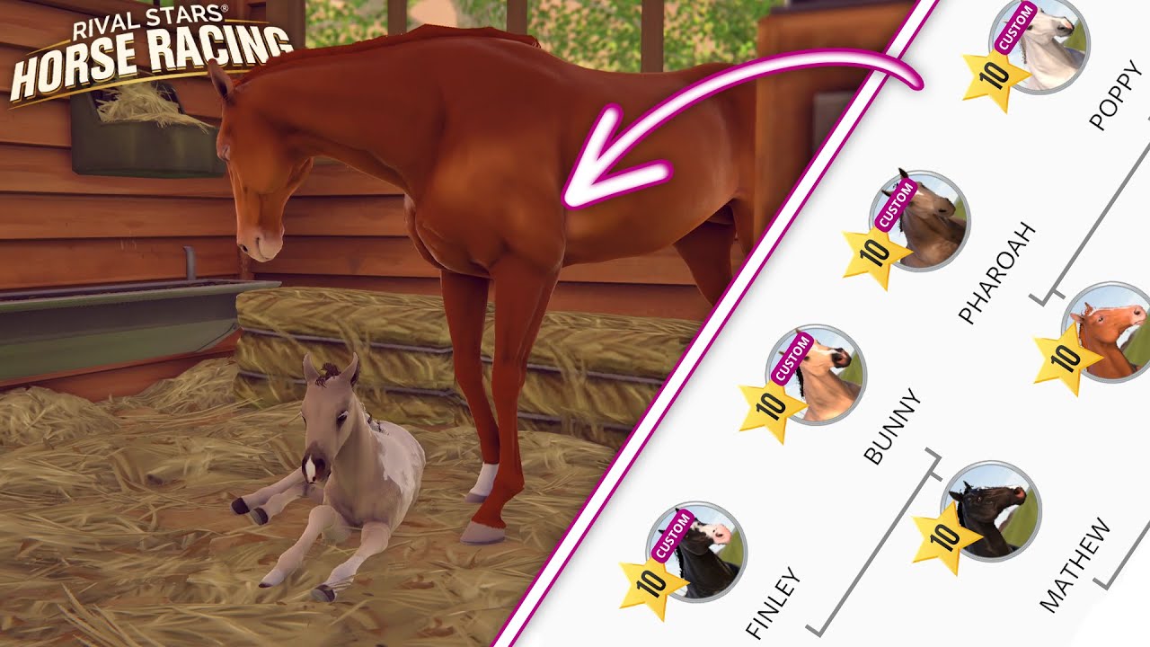 BREEDING CUSTOM HORSES 🐴 Rival Stars Horse Racing YouTube