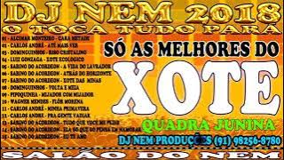 CD DE XOTE SÓ AS MELHORES REMIX DJ NEM DE ICOARACI