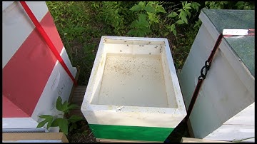 New truck! Moving a NUC into a 10 frame and feeding