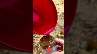 One Fruit Tree to Multiple Grafting Hack ✨! Propagation Made Easy &amp; Worry-Free for Fruit Growers ✅🌳