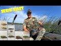 Новобранцы с AliExpress в  Джеркбейтовом строю. #Jerkbait #pike #Fish #volgaspintv