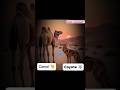 Camel 🐫 and coyote 🐺 shorts #shortvideo #animals #viral #viralvideo #camelandcoyote