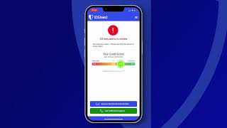 Celebrity Legal Shield  how to use the Legalshield and IDshield mobile apps 1080p Net Worth