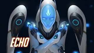 Now playable echo overwatch / Now testing on the ptr