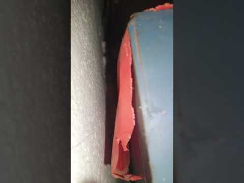 Video Bầy tắc kè hoa trú ngụ trong kẹt tủ sinh sản hàng trăm... - youtube
