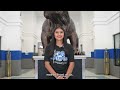 Somerset ISD | People, Progress, Possibilites