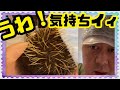 【ヘアカラー】流行りのメッシュキャップ被ってブリーチしてみた！シルバーカラーに向けて第一歩！フレッシュライト メガメガブリーチ【mucciTV】白髪隠してオシャレに行こう！ メンズ セルフ 使い方 穴