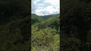 padong uli hpit kadjot ky nndut jd pagka bukid