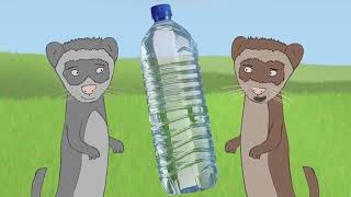 Watch Filmcow Ferrets video