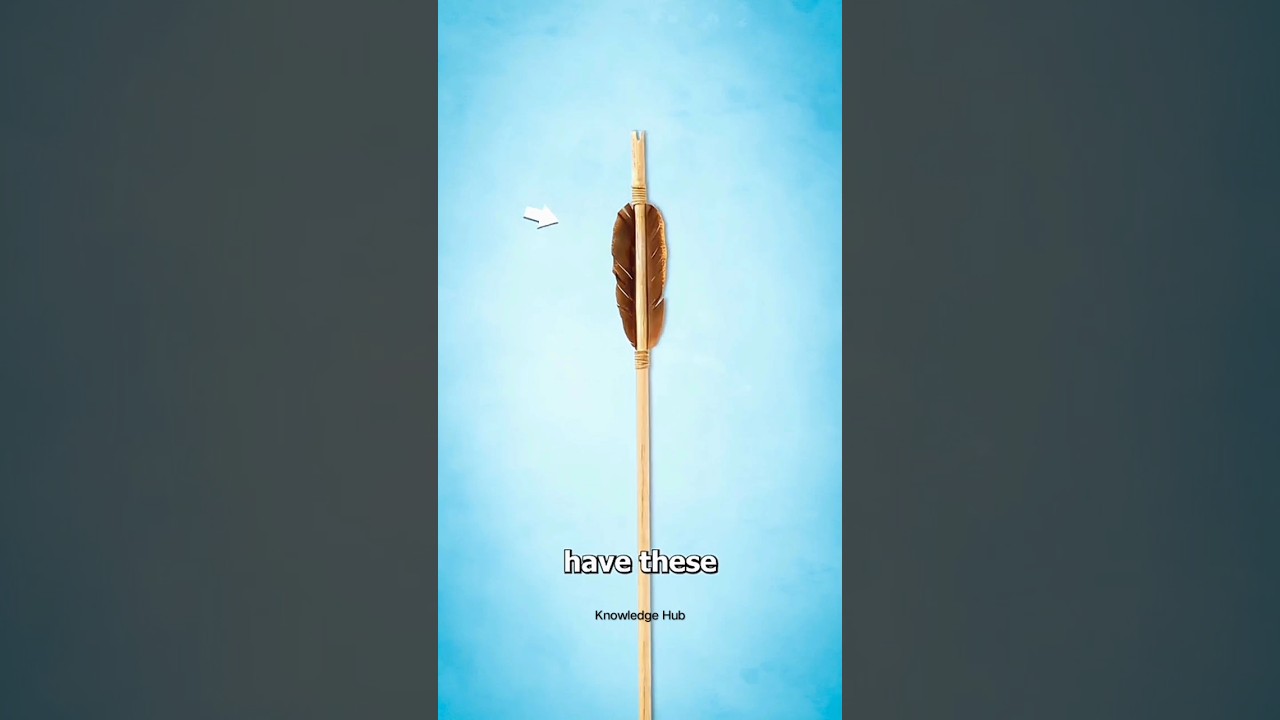 Why do arrows have feathers at their end. archery shorts facts 