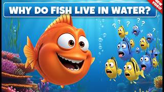 Why Do Fish Live in Water? | Fun Ocean Science for Kids