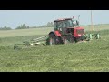 покос травы тракторам МТЗ 3022 Беларус. 2023