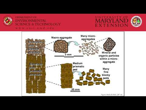 Basic Soil Science- Fundamentals of Nutrient Management 2022