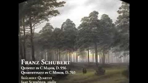 Schubert: String Quintet in C major, D. 956 - (II) Adagio