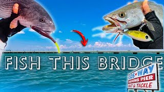 Kayak Fishing the JFK Causeway for Redfish & Speckled trout (Corpus Christi, TX)