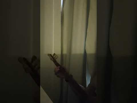 شوره ش ساز گولي جديد    