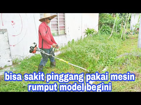 Video: Pemotong rumput petrol 