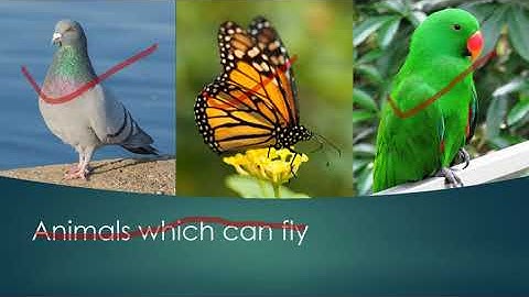 Class -3 EVS Topic- Poonam