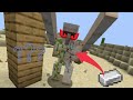 he leave me if i cure him? | Minecraft