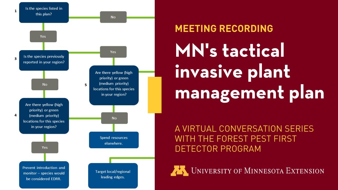 Forest Pest First Detector - Minnesota's tactical invasive plant management plan