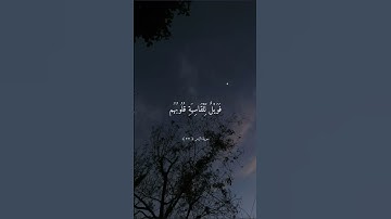 تلاوة خاشعه بصوت الشيخ ماهر المعيقلي