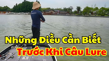 Câu Cá Bằng Mồi Giả Cần Tránh Sai Lầm Nào Câu Lure và Kinh Nghiệm Thực Tế