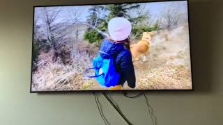 IMG 0883
