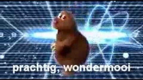 Grappige liedjes