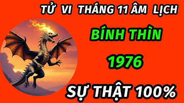 Sự thật 100% trong tháng 11 âm lịch cho tuổi bính Thìn 1976 bão lộc đổ về trúng mánh đổi đời giàu 
