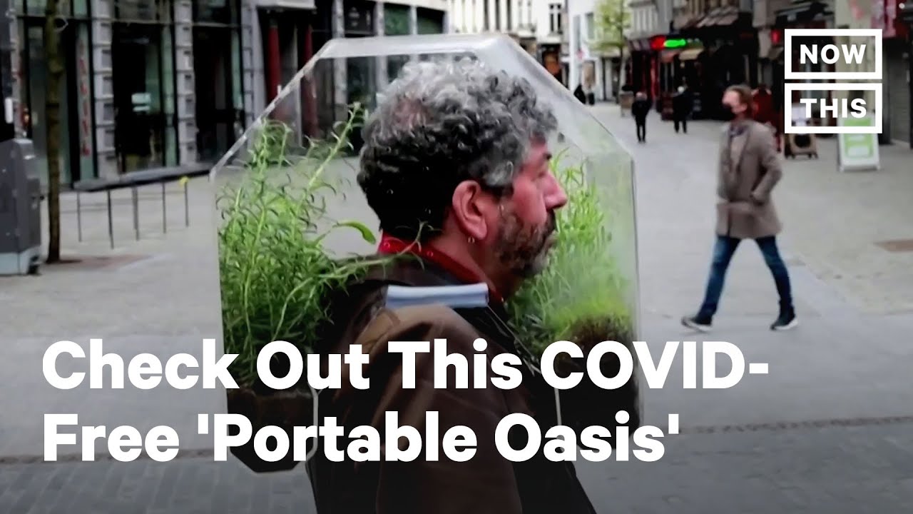Man Creates Covid-Free Bubble Oasis for Your Head