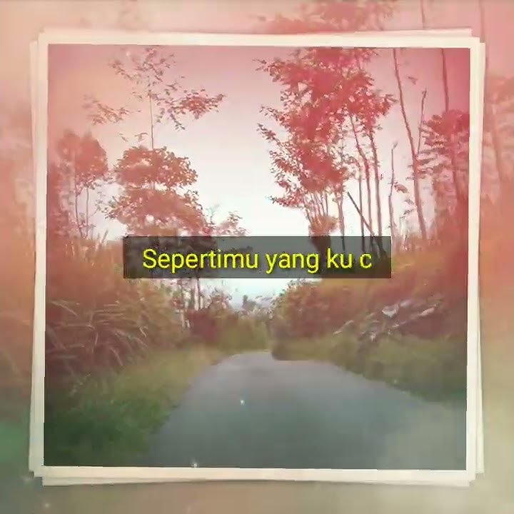 Hati-hati di jalan status wa 30 detik #shorts