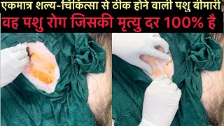 Retention of urine l पैसाब बंद का उपचार l dr Umar Khan 
