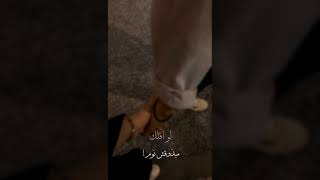 مش راضي تفهمني ليه♥حالات واتس اب، ستوريات انستا،