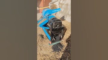 peanut shelling machine can #peanutshellingmachine #newpeanutshellingmachine #shorts #shortsfeed