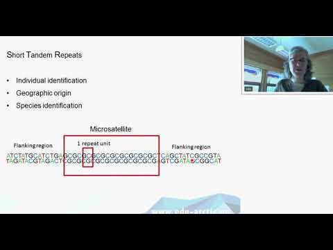 Wildlife forensic - using DNA to protect wildlife Wildlife forensic - using DNA to protect wildlife