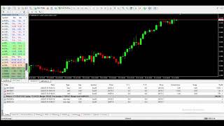 How To Display All Trade Able Asset Broker Offer On MT4 Platform