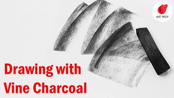 Vine Charcoal Drawing for Beginners, RISD Art Professor Demo