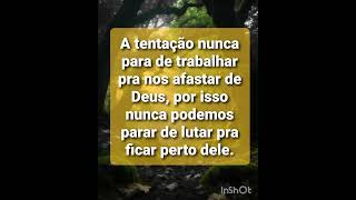 tudo tem seu tempo.#católico#tradição#Stay#straykids#trabalhador rural