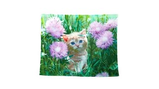 Concierge Collection Animals Digital Print Plush Throw