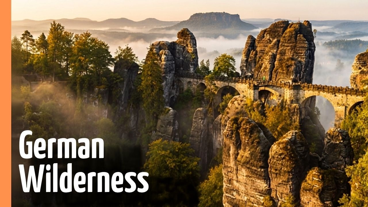 Wild Germany: From Alpine Peaks to Urban Foxes