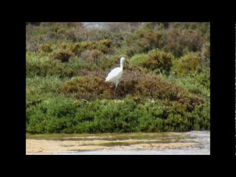 Video: Zelenortski Otoki: Fotografije, Zgodovina, Opis