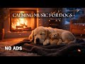 Deep Sleep Music for Dogs | Relaxing Sounds for Anxious Dogs