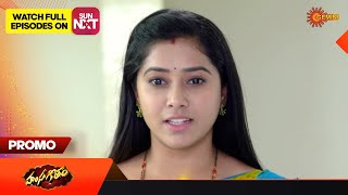 Hamsageetham - Promo 13 June 2023 Telugu Serial Gemini Tv